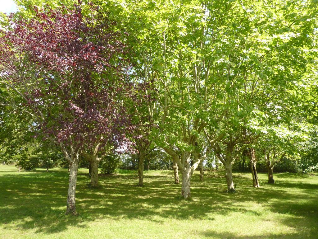 Camping Parc Du Chateau D'Allot Hotel Boe Luaran gambar